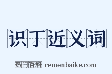 识丁近义词是什么意思的图片